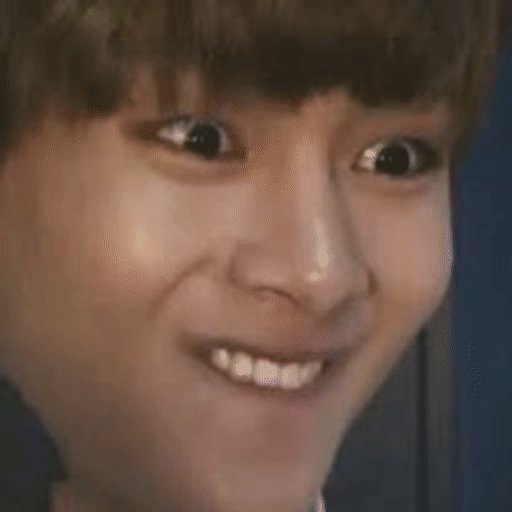 toda família tem aquela capoper que fica rindo dos memes do bts to falando de mim mesma