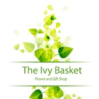 The Ivy Basket (@theivybasket) 's Twitter Profile