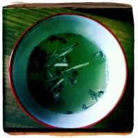 Anne-Sylvie Salzman (@as_salzman) 's Twitter Profile Photo