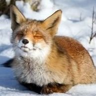 FriedaKremser's profile picture. 