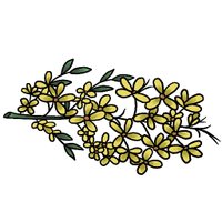 Broomfield (@broomfieldsilc) 's Twitter Profile