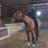 tero_saarinen's profile image