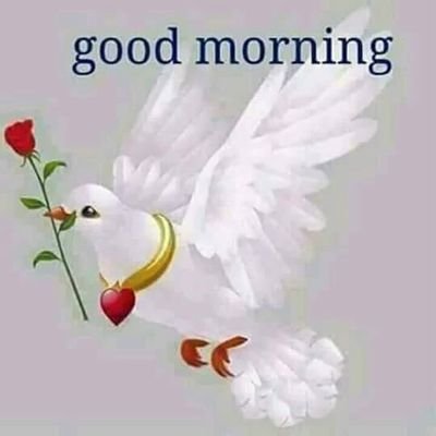 rameshparath2's profile picture. 