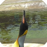 Reluctant Penguin (@filmsreluctant) 's Twitter Profile Photo Reluctant Penguin (@filmsreluctant) 's Twitter Profile Photo