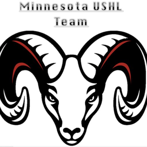 Gaining Support for USHL Team in Minnesota one follower at a time! Not affiliated with the USHL. Email: MinnesotaUSHLTeam(@)https://t.co/xNAGc7VIjA