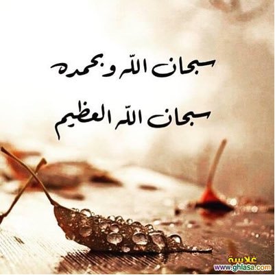 طموحي هو بذرة نمت بماء الاجتهاد وسماء التضحية والإخلاص فأصبحت شجرة عظيمة الأغصان عميقة الجذور.. باحثة دكتوراه (أصول تربية)جامعة الإمام محمد بن سعود الإسلامية.
