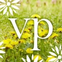 Vocalpoint (@vocalpoint) 's Twitter Profile