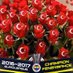 ramazan🇹🇷❤🇹🇷🇦🇿🇵🇼🇺🇿🇹🇲🇰🇬 (@ramazancocen) Twitter profile photo ramazan🇹🇷❤🇹🇷🇦🇿🇵🇼🇺🇿🇹🇲🇰🇬 (@ramazancocen) Twitter profile photo