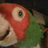 pmurgia's profile image