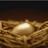 MaximsInvesting's profile image
