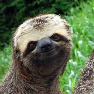 TeganRWright8's profile picture. 