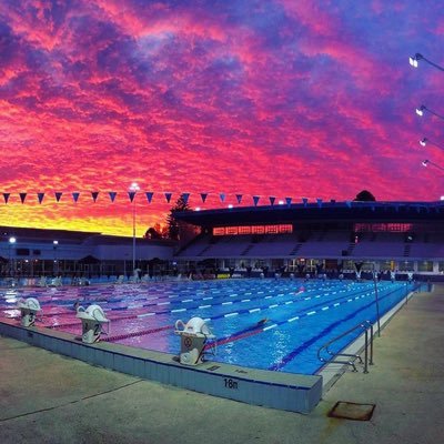 Free swim workouts posted Monday-Friday for swimmers of all types & Professional video swim technique analysis