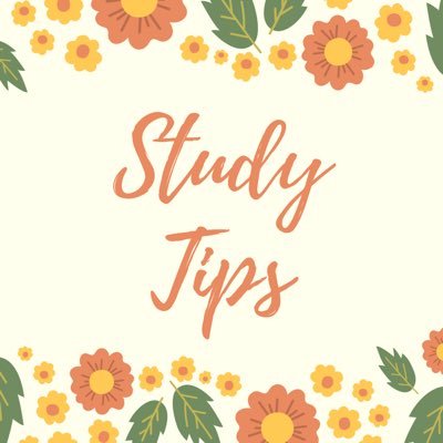 studytips__'s profile picture. 