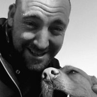 Dave P Services (@davepservices1) 's Twitter Profile