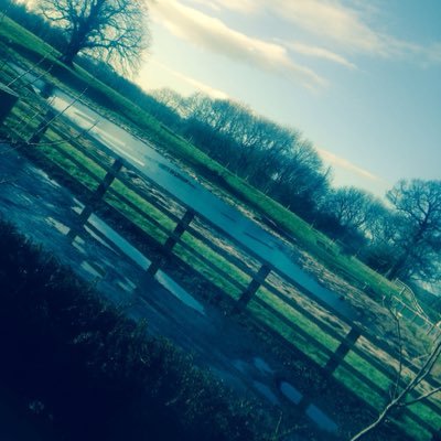 stobdweller's profile picture. NE Probation Service Homeless Prevention Lead all views my own