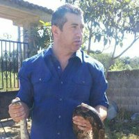 @Donatelo (@edonatel0) 's Twitter Profile