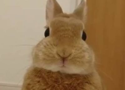 TokuchiTh's profile picture. React,vue.js,Ruby on Rails,AWS