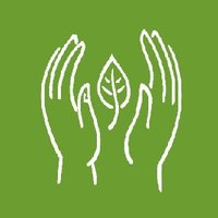 ForestSchoolLearningInitiative (@myforestschool) 's Twitter Profile