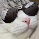 ほそやん's avatar