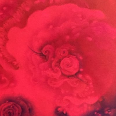 iwata mayuko：イワタマユコさんのプロフィール画像