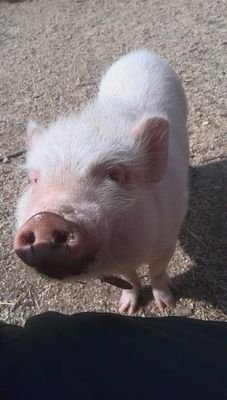 gmatdjptwmda's profile picture. 元気いっぱい