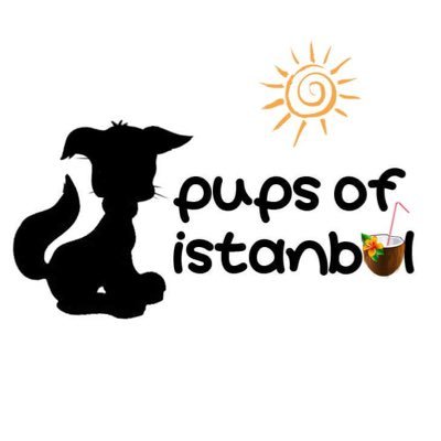 Puppy by puppy #PupsofIstanbul