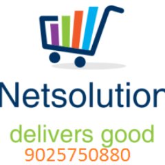Netsolution4you's profile picture. 