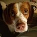 ruth judy (@fanovicar1) Twitter profile photo ruth judy (@fanovicar1) Twitter profile photo