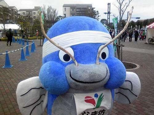 potakichi's profile picture. 仕事はシステム屋。趣味はランニングなど。