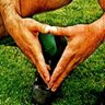BetisDelSol's profile picture. Un Corazón de Heliópolis Protegido por Trece Barras 🇳🇬🇳🇬🇳🇬