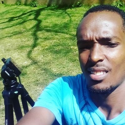 DanielAlbin3's profile picture. 