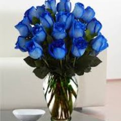 cannavota21's profile picture. 