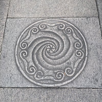 phoebewang8512's profile picture. 