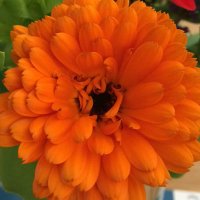 Una Jones (@unajones) 's Twitter Profile