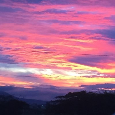 FrediCulebro's profile picture. 