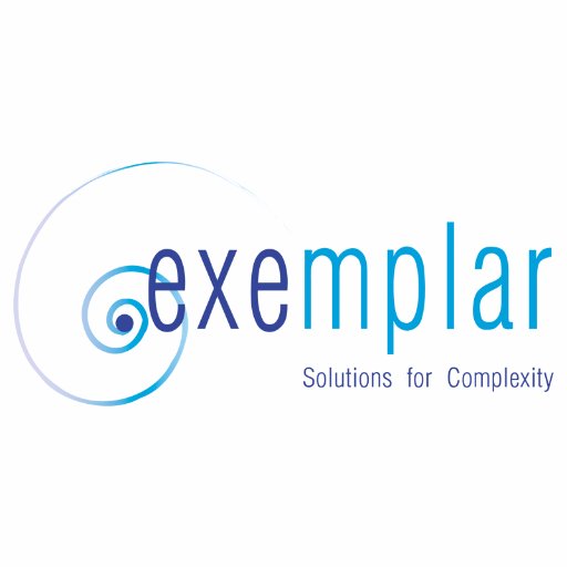 Exemplar supplies solutions in the field of Engineering Simulation (CAE), developing software and methodologies based on customer specific requirements