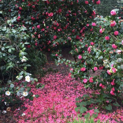 PoppyJones26's profile picture. 