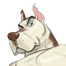 Duncanさんのプロフィール画像
