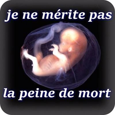 NizEdouard's profile picture. 