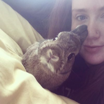xallykmx's profile picture. My dog and bunny are pretty much my life. SIUC 19'