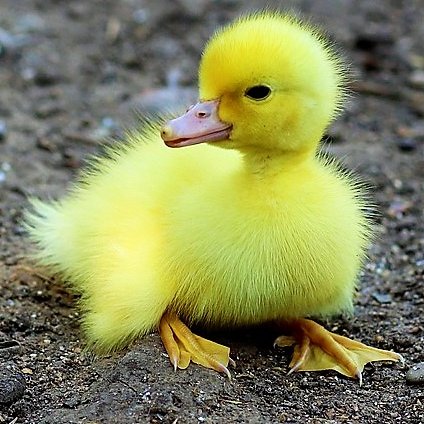 LiberalAvatar's profile picture. Concerned parent, British by birth, European by soul, World Citizen by ambition. Love this planet, want the UK to thrive