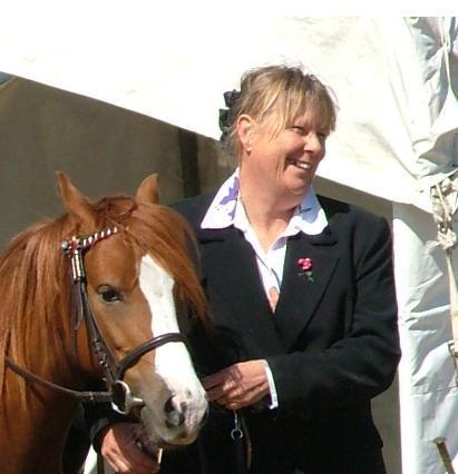 M_W_Architect's profile picture. Architect practicing in victorian town of Stanford, South Africa. Owner of Wolters Interiors and Welsh Pony Syringa Stud.