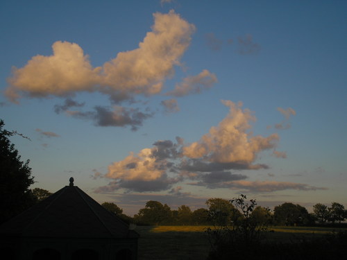 Tweeting about and following life in Uckfield