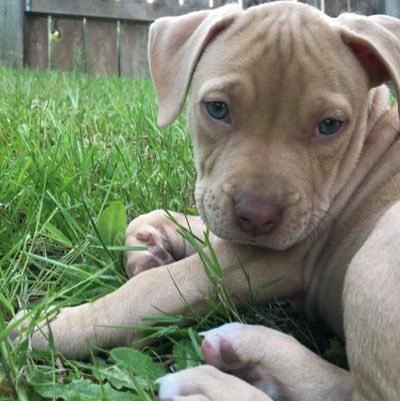 Got2Have1one's profile picture. 