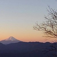 seki拓 (@tem5fmkdahysnbh) 's Twitter Profile