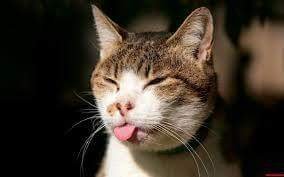 GennaHall6's profile picture. Politics World News US News