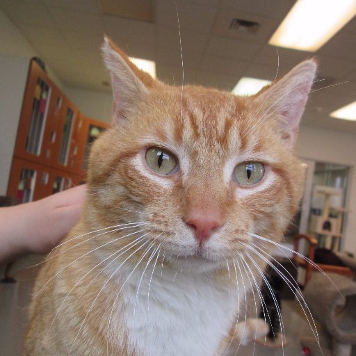 PaperCircuit's profile picture. 