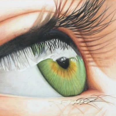 TerrariumMedia's profile picture. Self taught artist just trying to get better! Personal Account: @FierceLegoLink YouTube: TerrariumProductions Instagram: michaelsantos_art