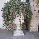 Anne Jenner - @Jennerate - Twitter