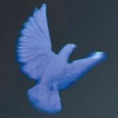 NoBillingInfo's profile picture. illuminating at 100+ dB eMail@NoBilling.Info